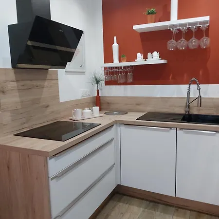 Palmeraie102 サリ・ソランザラ