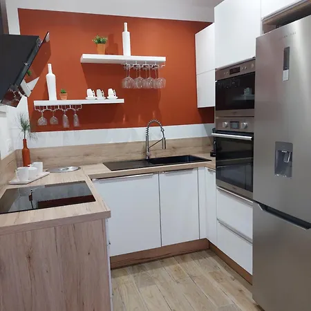 Palmeraie102 サリ・ソランザラ