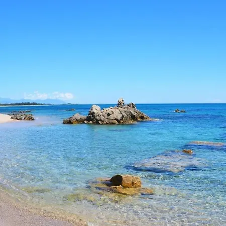 Palmeraie102 Sari-Solenzara