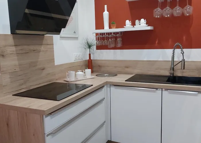 Palmeraie102 Sari-Solenzara