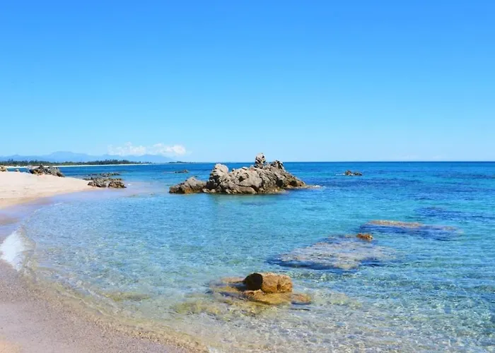 Palmeraie102 Sari-Solenzara